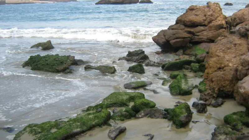 Las Gramas - spot de surf en Lima