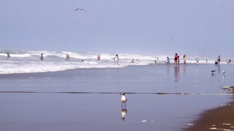 Punta Bombón - spot de surf en Arequipa
