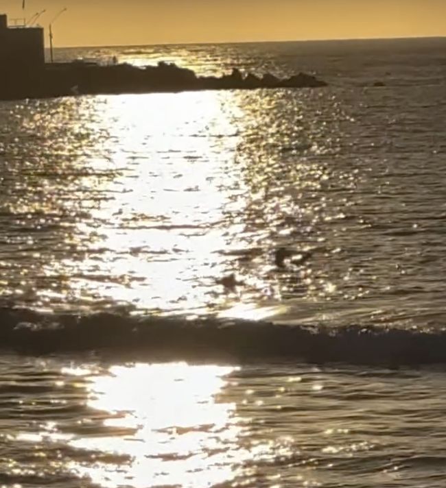 La Boca Concón - spot de surf en Valparaíso