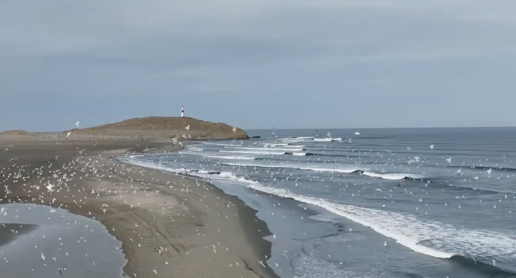 Negritos - spot de surf en Piura